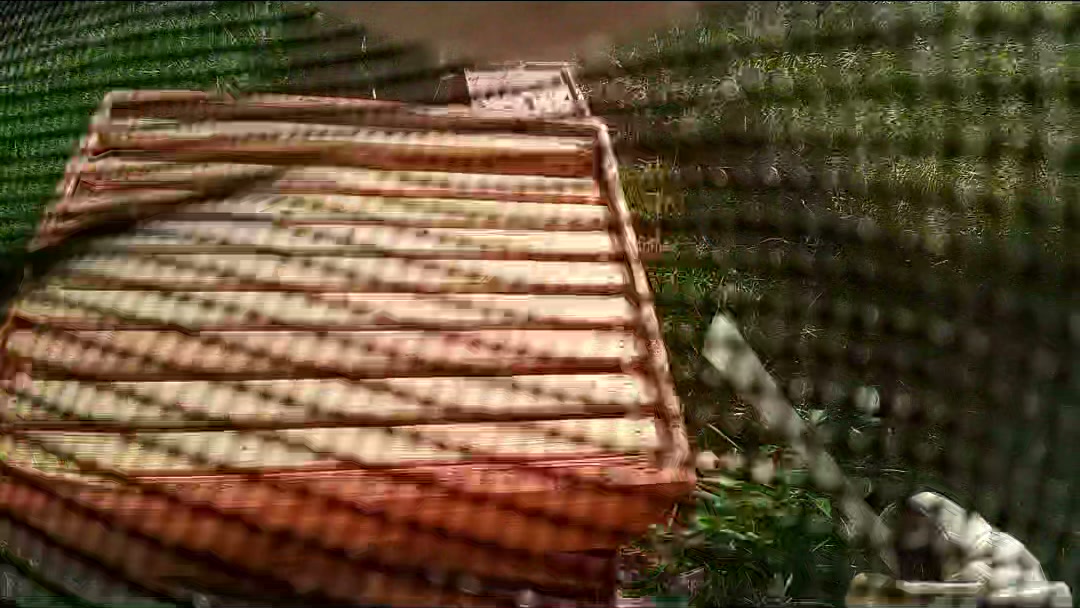 Frames in Spicy Hive seen through the mesh of a beekeeper veil