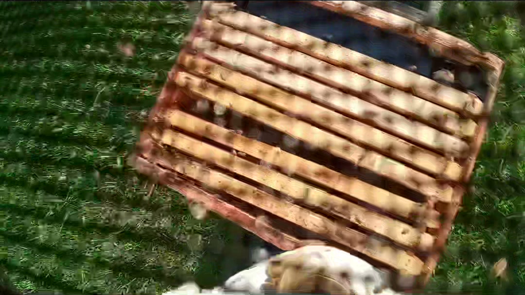 Hive frames and feeder being spaced